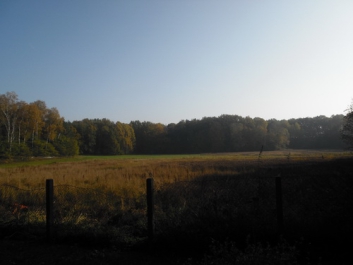 Panzerfahrschule_2011_13